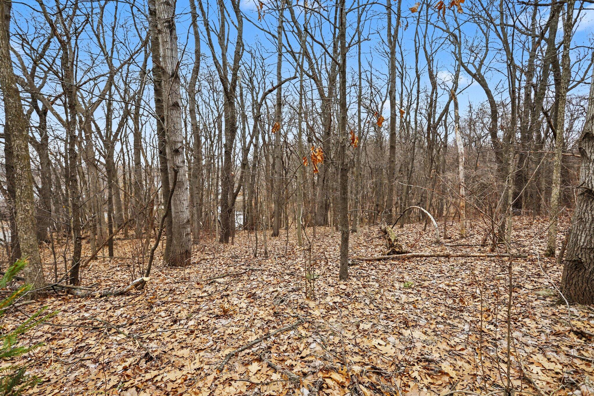 V/l V/l Jones Road Battle Creek, MI 49017 - Photo 15 of 24 015_file_7705