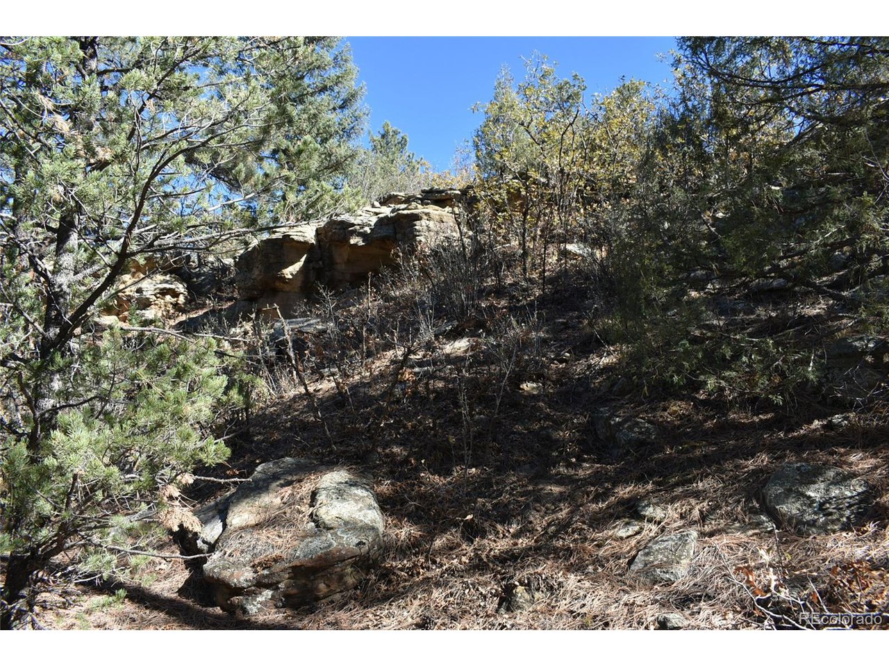 268 Rancho La Weston, CO 81091 - Photo 11 of 29 a view of a tree