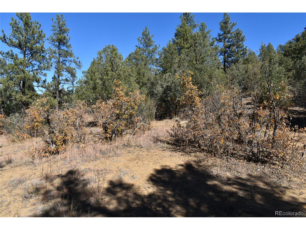 268 Rancho La Weston, CO 81091 - Photo 13 of 29 a view of a yard