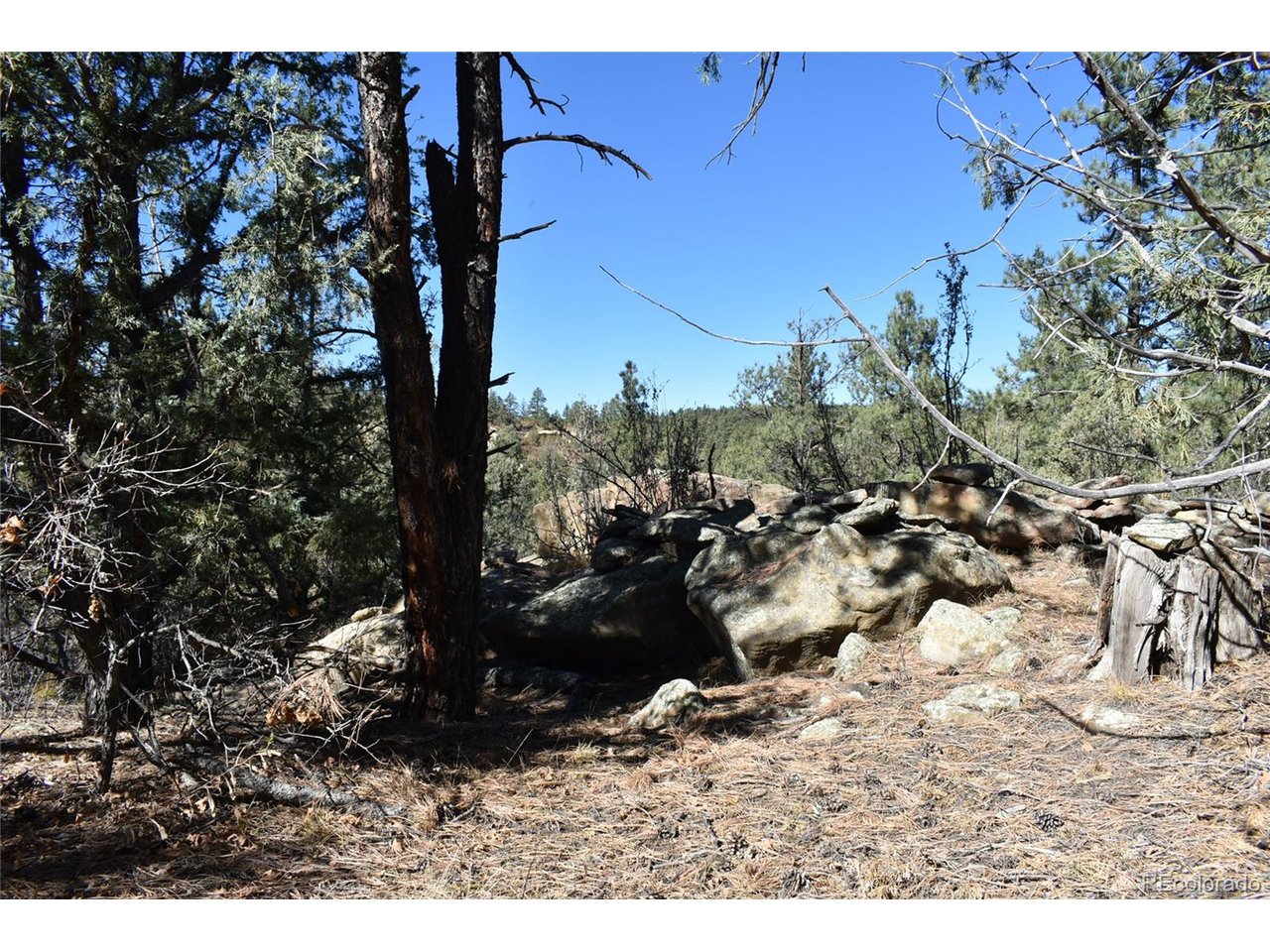 268 Rancho La Weston, CO 81091 - Photo 18 of 29 a view of outdoor space