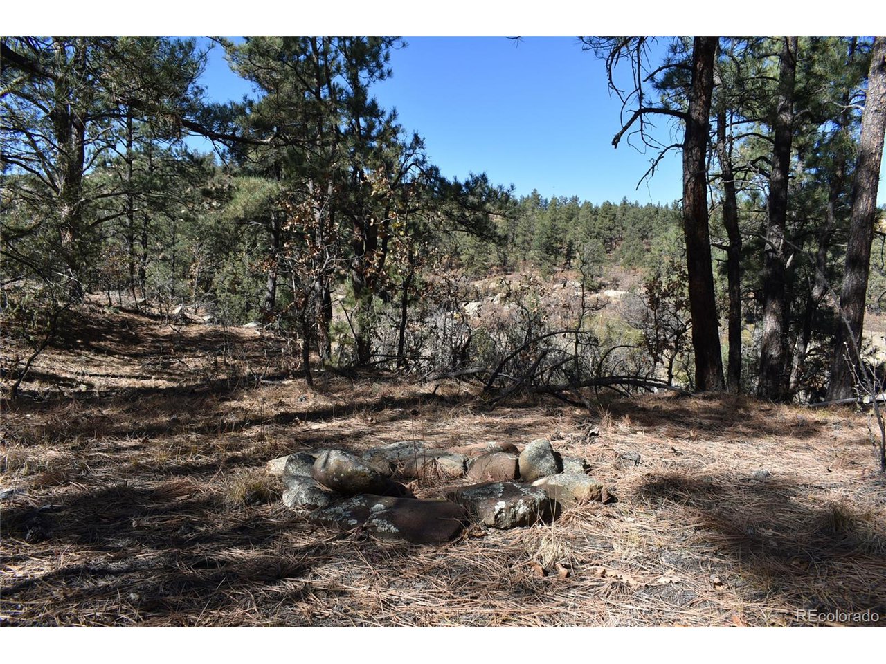 268 Rancho La Weston, CO 81091 - Photo 22 of 29 a view of a yard with trees in the background