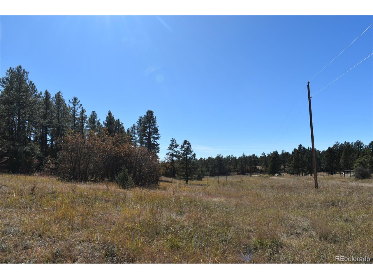 268 Rancho La Weston, CO 81091 - Photo 25 of 29 a view of a dry yard