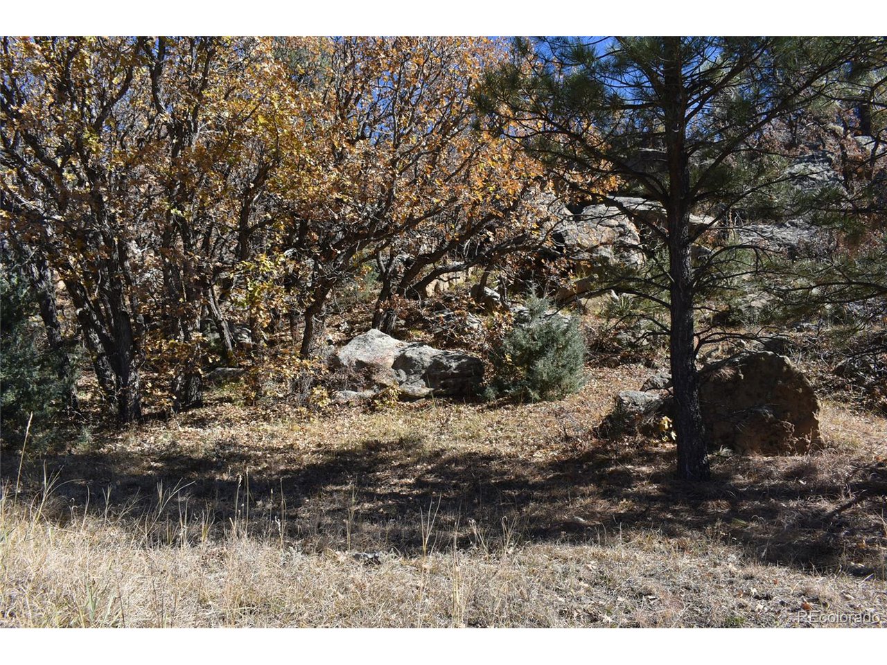 268 Rancho La Weston, CO 81091 - Photo 28 of 29