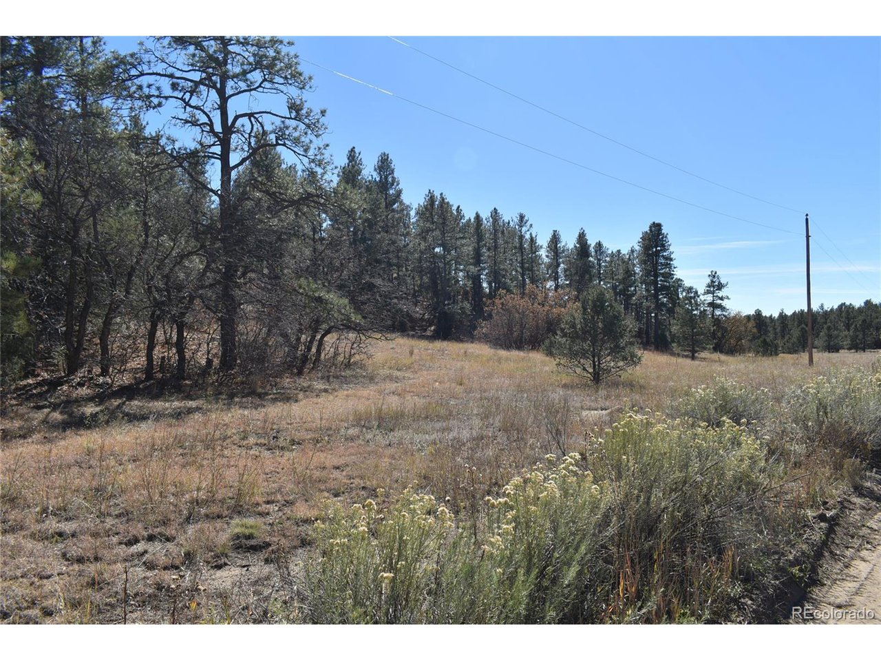 268 Rancho La Weston, CO 81091 - Photo 4 of 29 a view of a covered with snow in the background