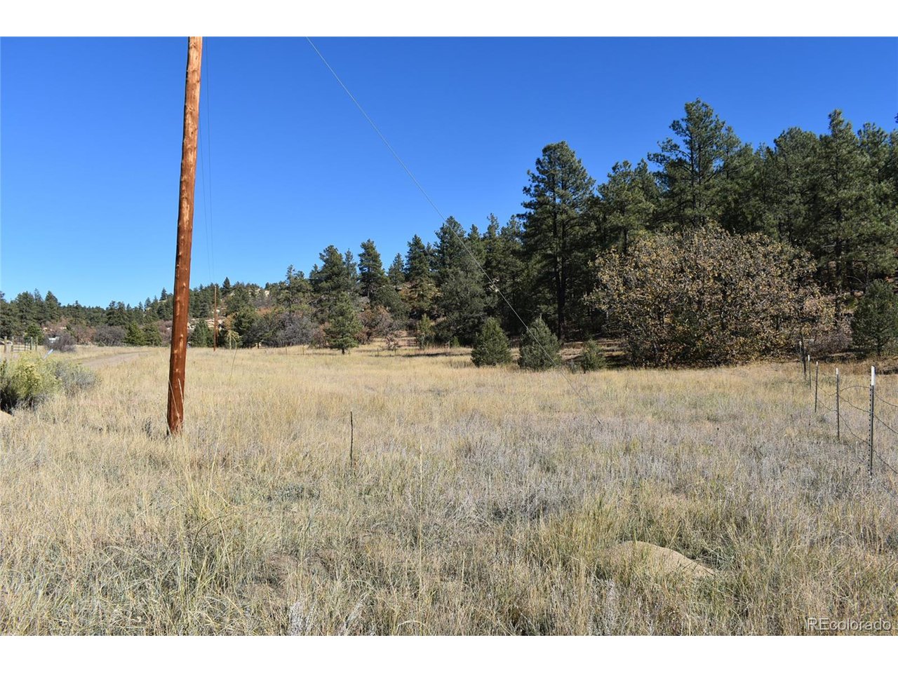 268 Rancho La Weston, CO 81091 - Photo 5 of 29 a view of a yard