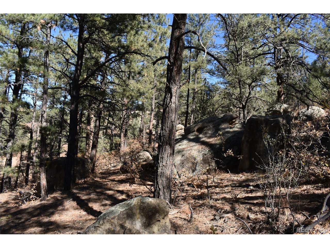 268 Rancho La Weston, CO 81091 - Photo 7 of 29 a view of outdoor space