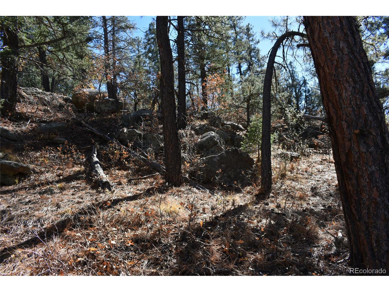 268 Rancho La Weston, CO 81091 - Photo 10 of 29 a view of outdoor space with trees