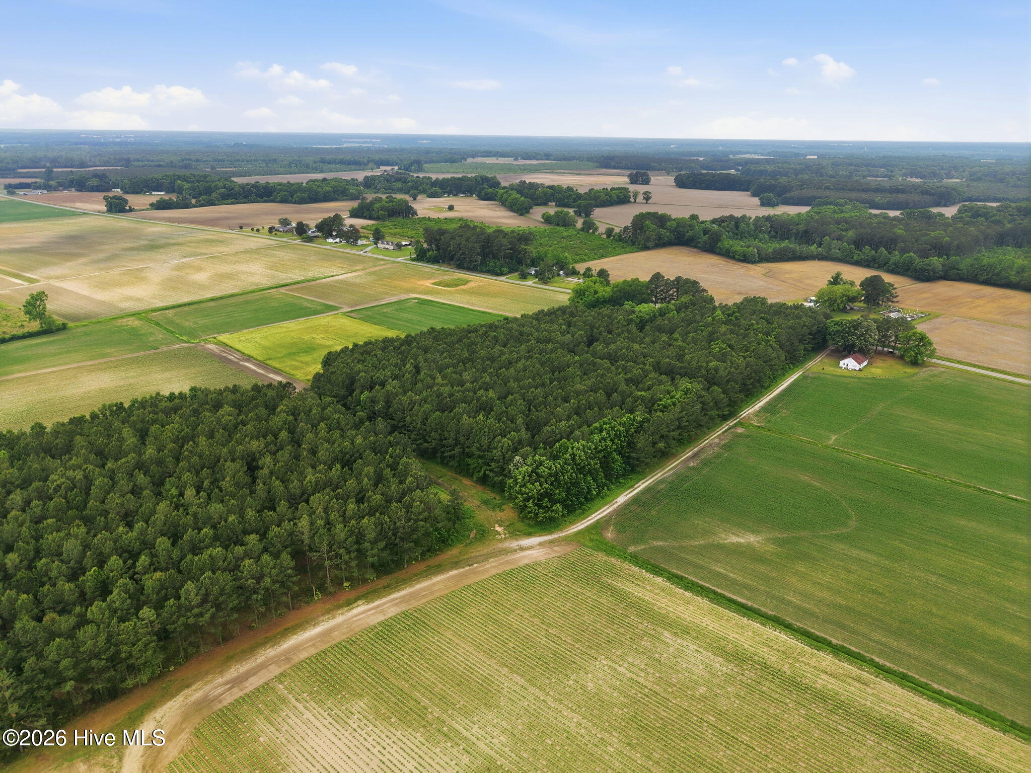 0 Fire Tower Road Walstonburg, NC 27888 - Photo 7 of 10 7-web-or-mls-DJI_20260511115223_0017_D