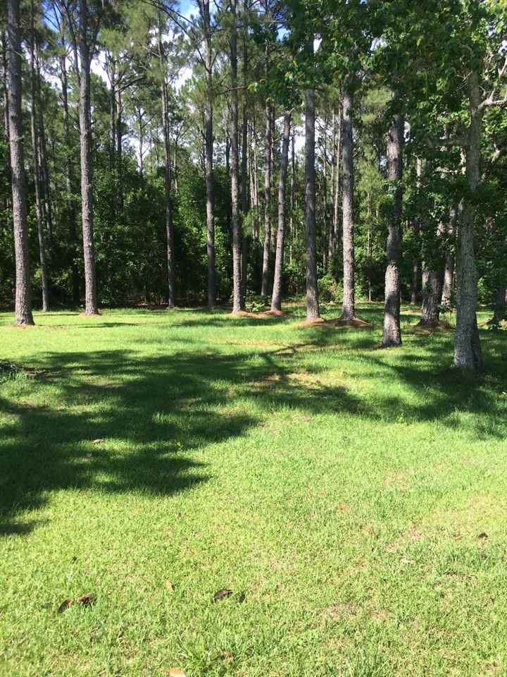 12051 Kenner Road Foley, AL 36535 - Photo 4 of 15 Back Yard