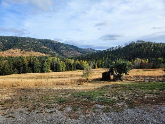 1463 Naff Road Colville, WA 99114 - Photo 3 of 24