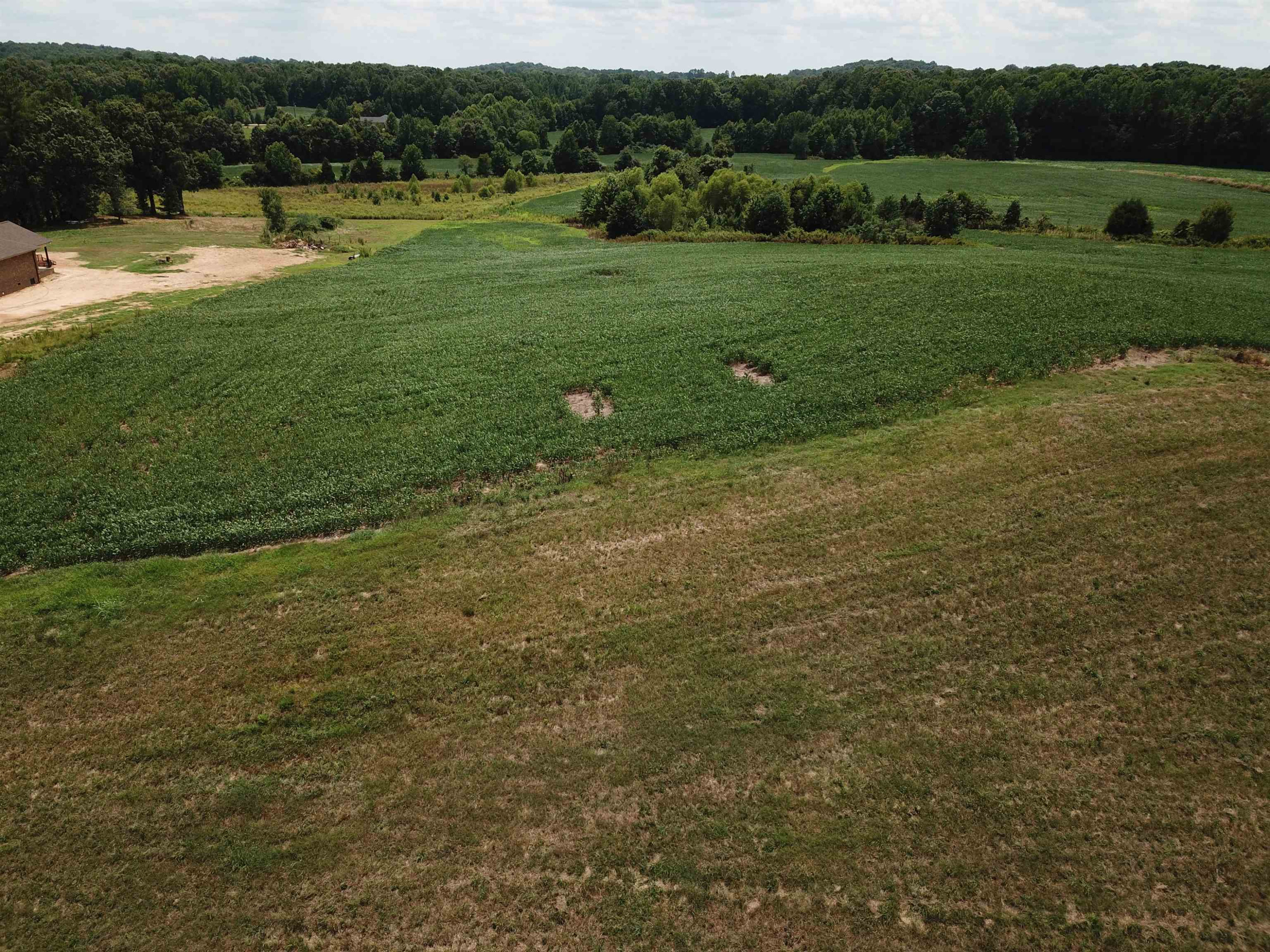 0 Ballard Road Lexington, TN 38351 - Photo 23 of 25 Photo 23