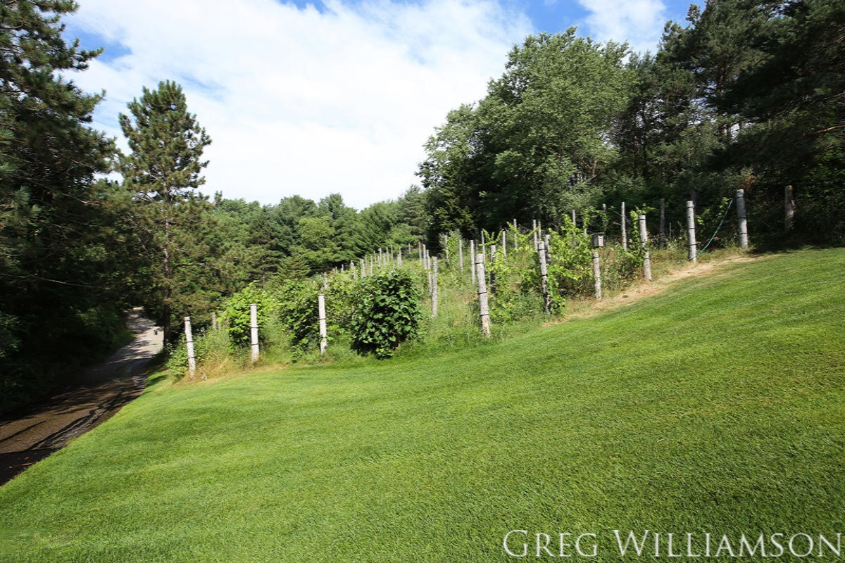 6110 Robertson Road Middleville, MI 49333 - Photo 42 of 43 IMG_8986