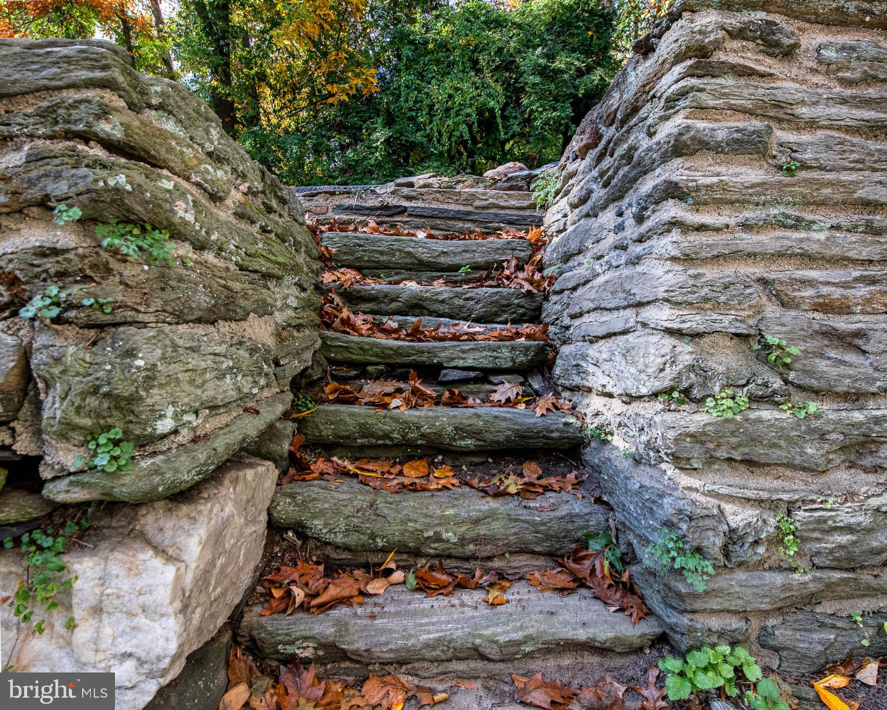 810 Crum Creek Road Media, PA 19063 - Photo 33 of 58 Stone steps