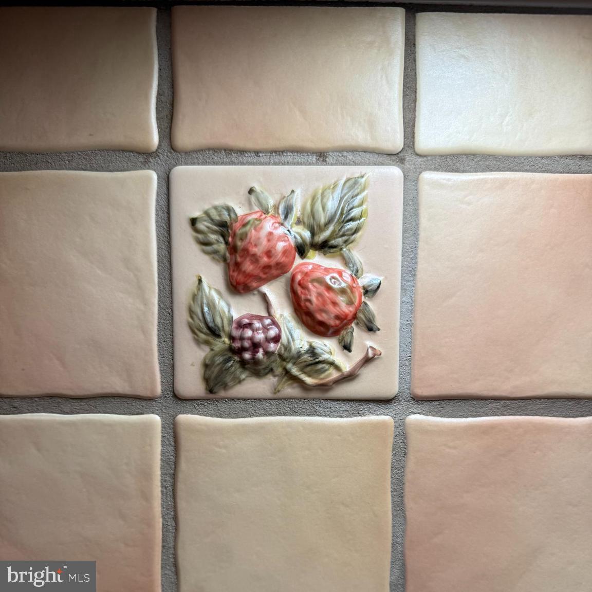 810 Crum Creek Road Media, PA 19063 - Photo 4 of 58 Tile detail at stove