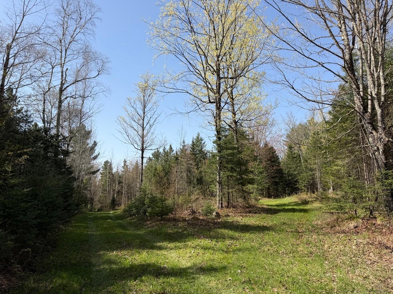86441 Creamery Road Butternut, WI 54514 - Photo 36 of 51 Gallery Image 36