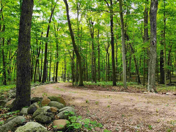 $340,000 | 11.34-acres 11.34-acres Forest, Plymouth, WI 53073