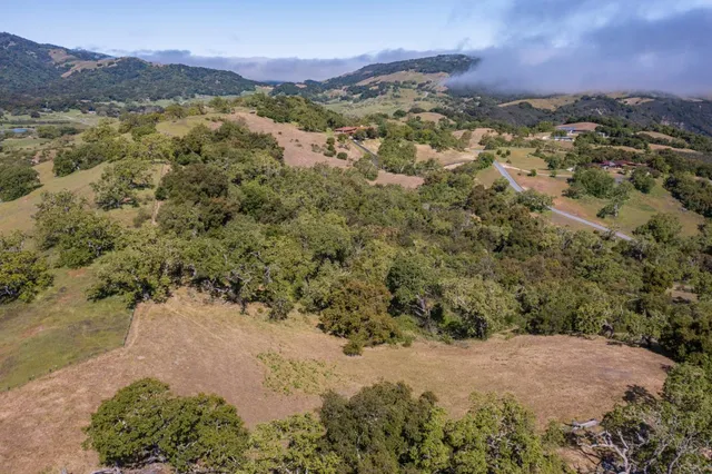 a view of a forest with mountains in the background