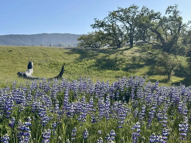 a view of an outdoor space and a yard
