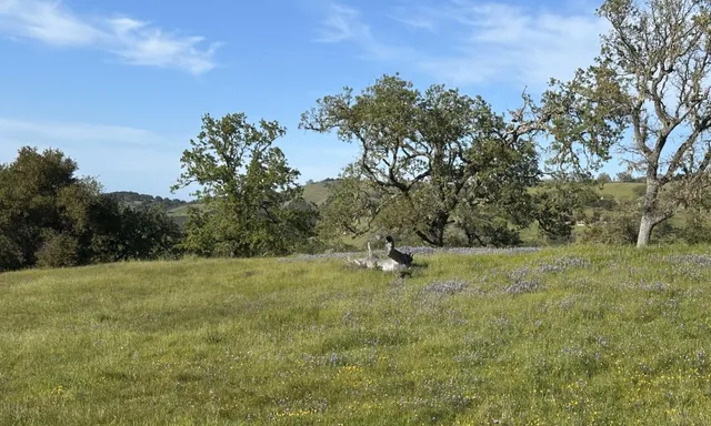 a view of swimming pool with mountain view