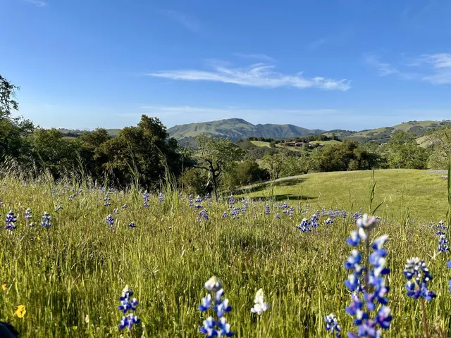 a view of a lake with a mountain in the back