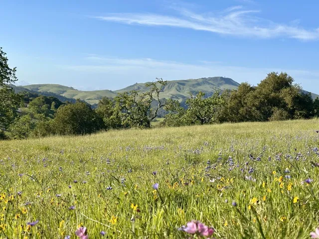 a view of lake with mountain