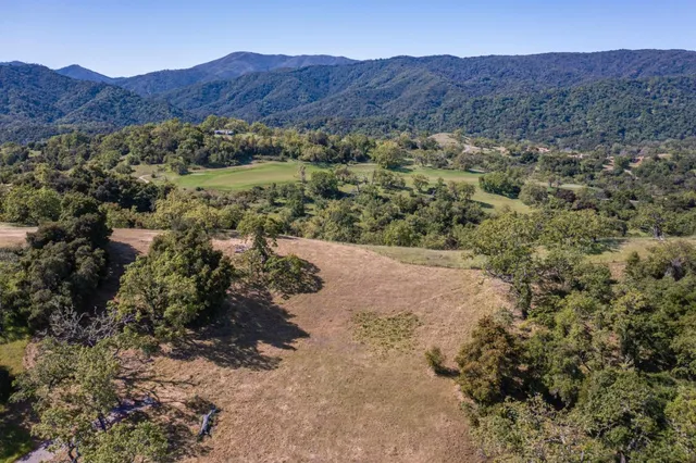 a view of a lush green hillside and a houses