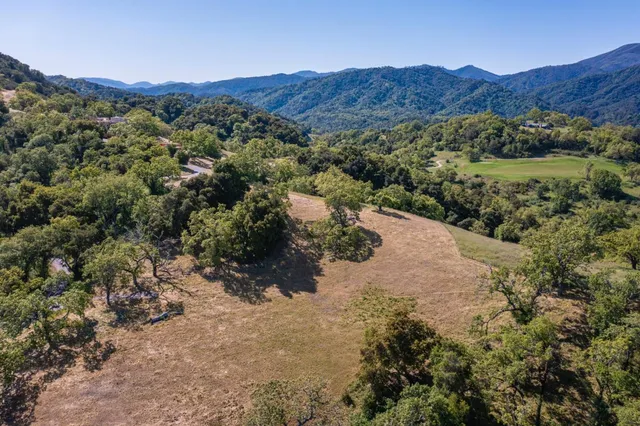 a view of a lush green field with mountains in the background