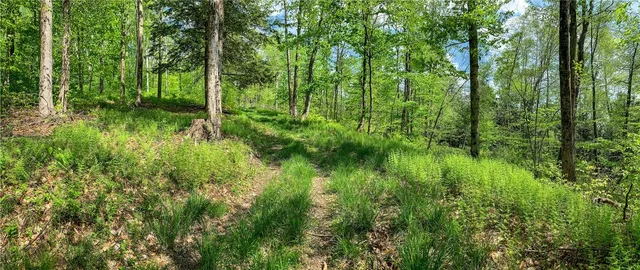 $65,000 | 0 County Highway 44, Unadilla, NY 13849