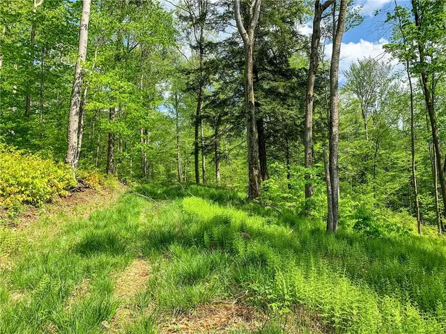 $65,000 | 0 County Highway 44, Unadilla, NY 13849