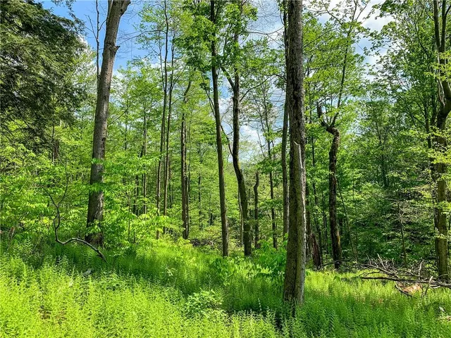 $65,000 | 0 County Highway 44, Unadilla, NY 13849