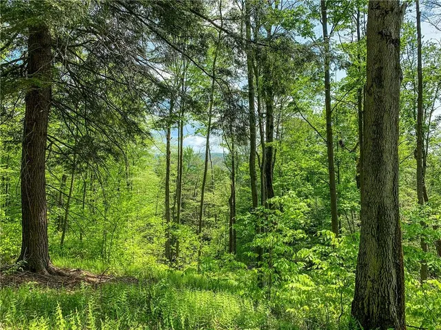 $65,000 | 0 County Highway 44, Unadilla, NY 13849