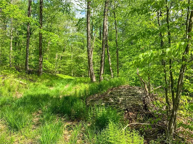 $65,000 | 0 County Highway 44, Unadilla, NY 13849