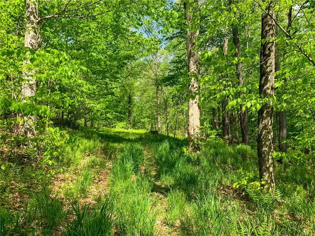 $65,000 | 0 County Highway 44, Unadilla, NY 13849