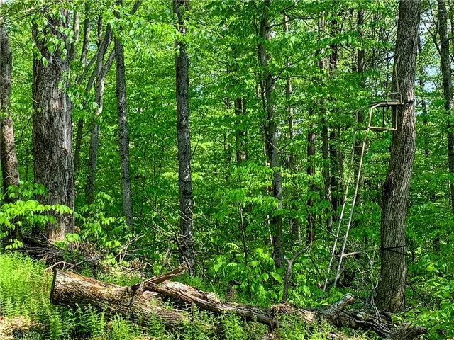 $65,000 | 0 County Highway 44, Unadilla, NY 13849