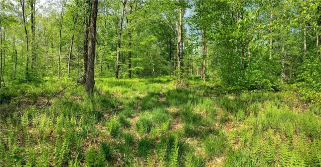 $65,000 | 0 County Highway 44, Unadilla, NY 13849