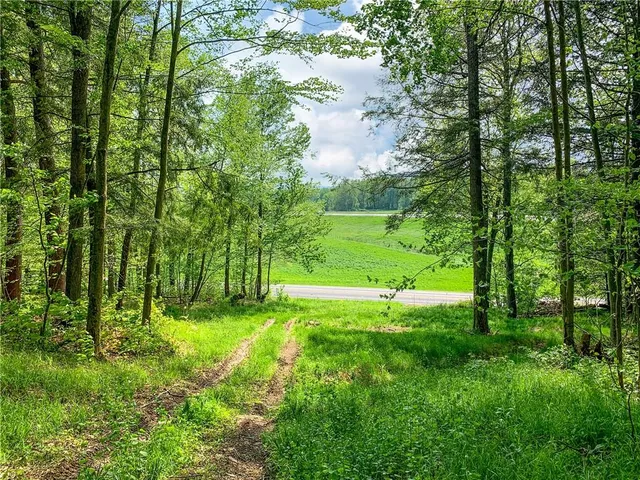 $65,000 | 0 County Highway 44, Unadilla, NY 13849