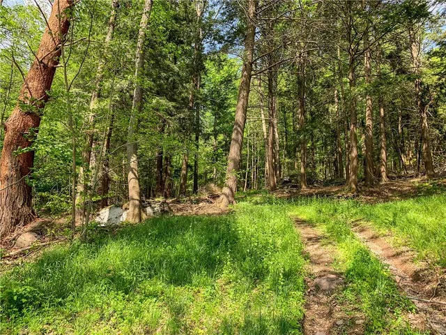 $65,000 | 0 County Highway 44, Unadilla, NY 13849