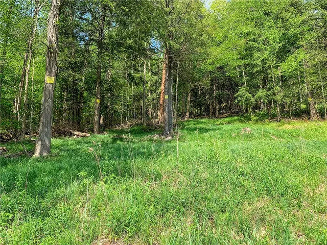 $65,000 | 0 County Highway 44, Unadilla, NY 13849