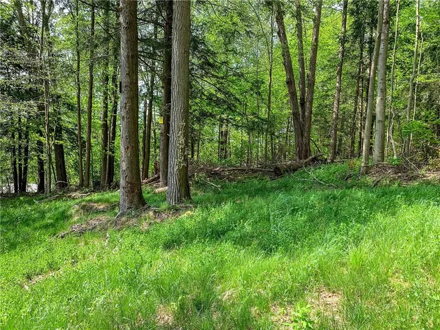 $65,000 | 0 County Highway 44, Unadilla, NY 13849