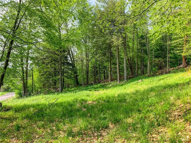 $65,000 | 0 County Highway 44, Unadilla, NY 13849