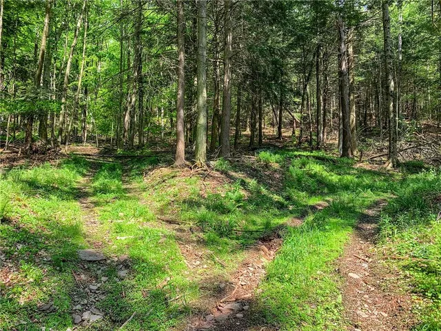 $65,000 | 0 County Highway 44, Unadilla, NY 13849