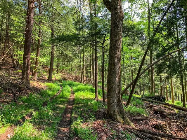 $65,000 | 0 County Highway 44, Unadilla, NY 13849