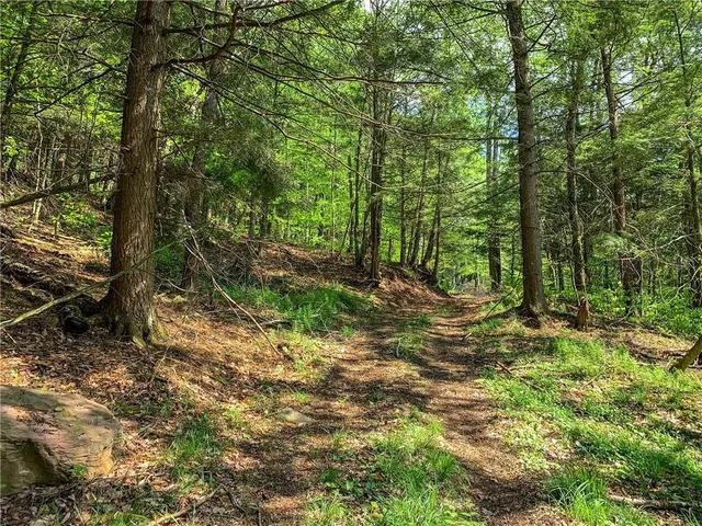 $65,000 | 0 County Highway 44, Unadilla, NY 13849