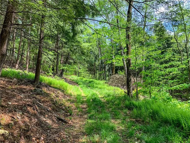 $65,000 | 0 County Highway 44, Unadilla, NY 13849