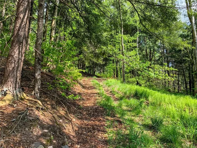 $65,000 | 0 County Highway 44, Unadilla, NY 13849