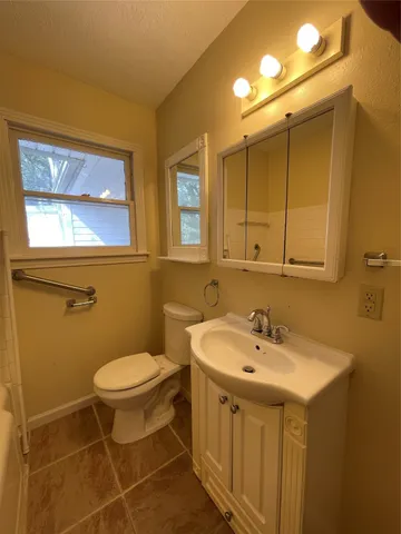 a bathroom with a sink and a toilet