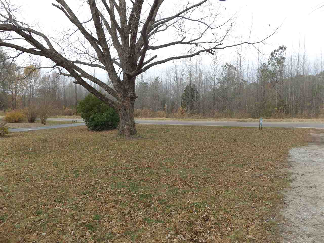 3247 Asbury Glimp Road Ripley, TN 38063 - Photo 15 of 16