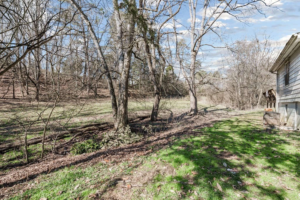 207 North E End Road Strawberry Plains, TN 37871 - Photo 10 of 12