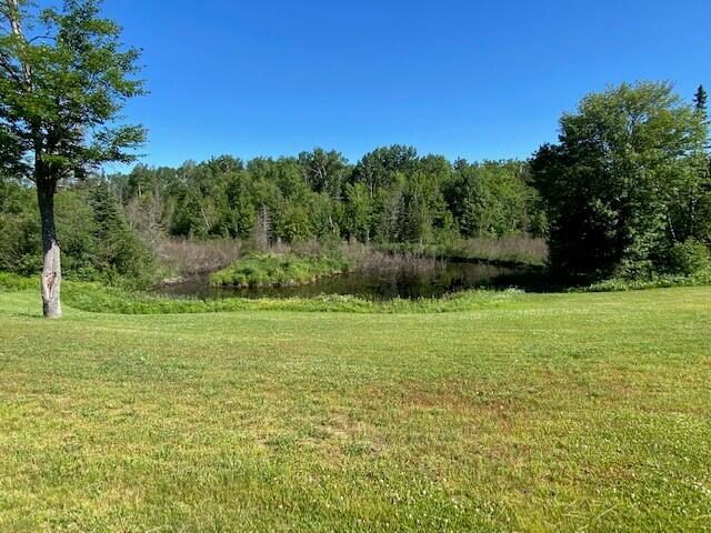 312 West 18 Mile Road Dafter, MI 49724 - Photo 5 of 69 Gallery Image 5