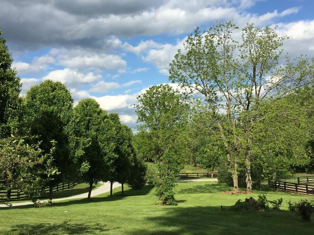 311 Rockridge Road Paris, KY 40361 - Photo 21 of 47 Photo 23